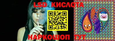 гашик Донской