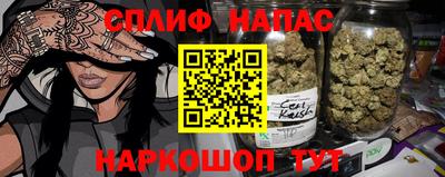 гашик Донской