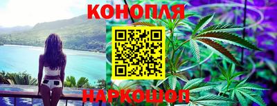гашик Донской