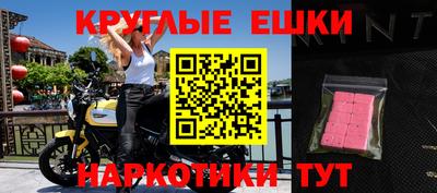 гашик Донской