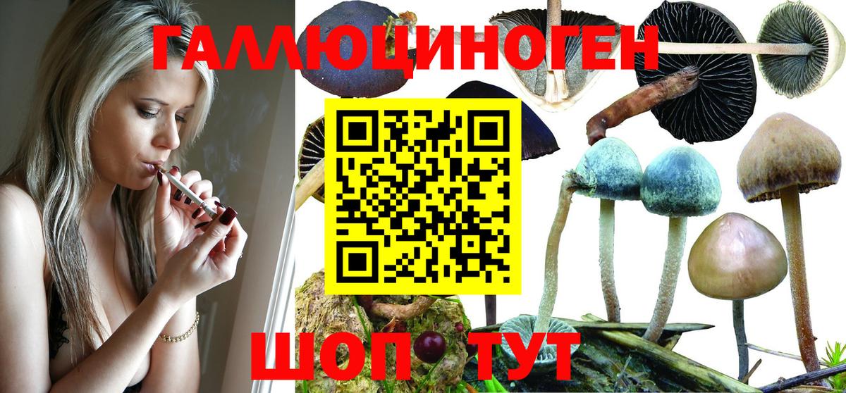 Галлюциногенные грибы Magic Shrooms Нарткала