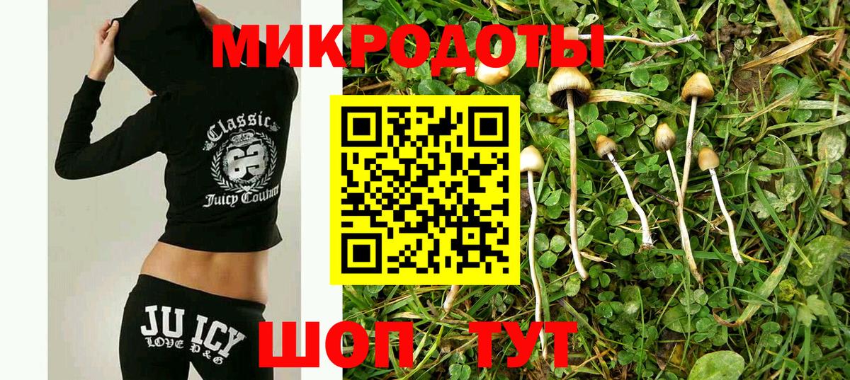 Галлюциногенные грибы прущие грибы  Псилоцибиновые грибы Psilocybine cubensis  Вход с VPN  Нарткала 